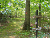 TrailVoicefarmsteadpiney.jpg TrailVoicefarmsteadpiney.jpg