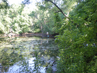 DSCN0100.JPG DSCN0100.JPG