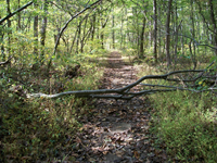100_0040.JPG