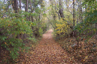 DCP_2338.JPG