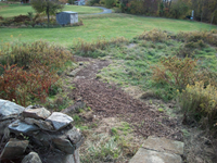 100_0063.JPG