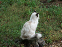 100_0062.JPG