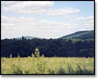 Blue Ridge Mountains and field at the Center