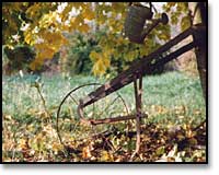 Old plow under a tree