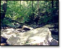 Rocky outcrop in stream