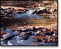 Rocky stream