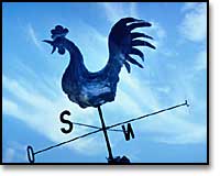 Weather vane