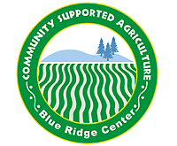 CSA Logo
