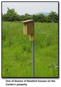 Bluebird house at Blue Ridge Center